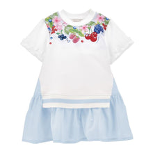 Load image into Gallery viewer, Blue & White Overlay Dress