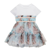 Load image into Gallery viewer, Blue & White Butterfly Tulle Dress