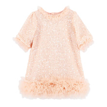Load image into Gallery viewer, Blush Pink Sequin "Sasha" Dress