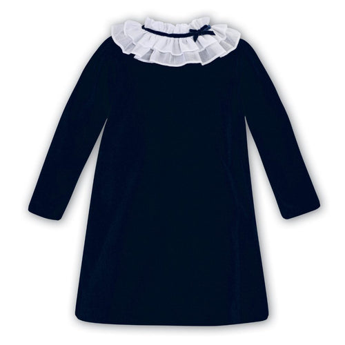 Navy Velvet Collar Dress
