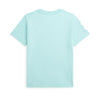 Sea Green Large Pony T-Shirt