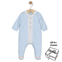 Load image into Gallery viewer, Blue Teddy Babygrow