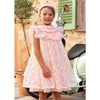 Peach Sequin 'Dominique' Dress