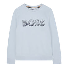 Load image into Gallery viewer, Pale Blue Sweat Top