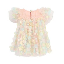 Load image into Gallery viewer, Babies Multi Coloured 3D Flower Dress