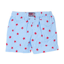 Load image into Gallery viewer, Blue Striped Starfish Swim Shorts
