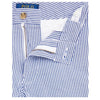 Blue & White Stretch Cotton Shorts