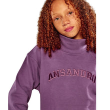 Load image into Gallery viewer, Plum High Neck Sweatshirt