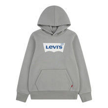 Load image into Gallery viewer, Grey Batwing Logo Hoodie
