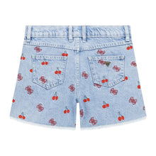 Load image into Gallery viewer, Pale Blue Denim Embroidered Shorts