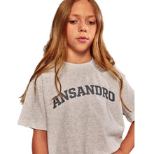 Load image into Gallery viewer, Grey Logo T-Shirt