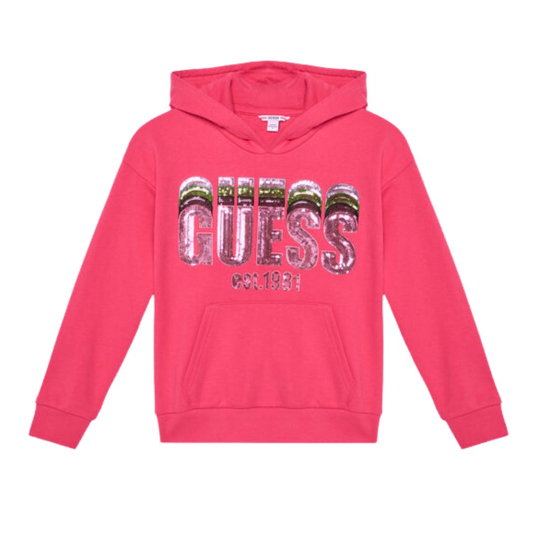 Pink Multi Sequin Logo Hoodie