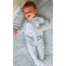 Load image into Gallery viewer, Pale Blue Check Embroidered Babygrow