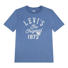 Load image into Gallery viewer, Blue Vintage T-Shirt