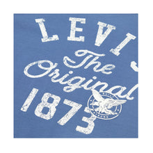 Load image into Gallery viewer, Blue Vintage T-Shirt