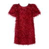 Red Fringed Dress