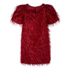 Red Fringed Dress