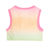 Multi Ombre Crop Top