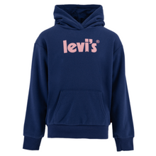 Load image into Gallery viewer, Blue &amp; Pink Hoodie