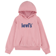 Load image into Gallery viewer, Pink &amp; Blue Hoodie