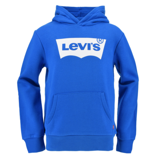 Blue Logo Sweat Hoodie