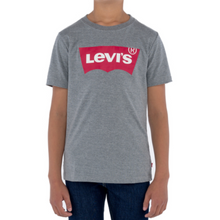 Load image into Gallery viewer, Grey Logo T-Shirt