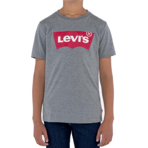 Grey Logo T-Shirt