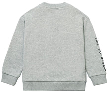 Load image into Gallery viewer, Grey Emroidered Sweatshirt