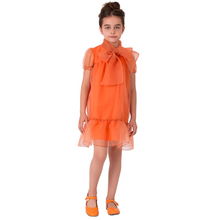 Load image into Gallery viewer, Orange Chiffon Dress