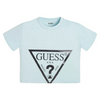 Blue T-Shirt